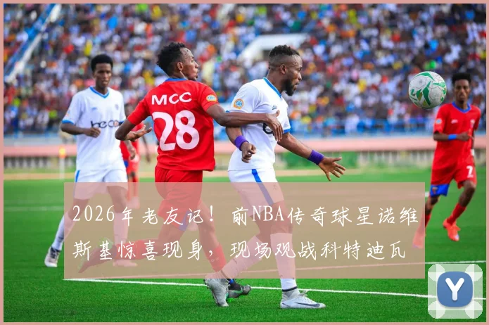 2026年老友记!前NBA传奇球星诺维斯基惊喜现身,现场观战科特迪瓦对阵挪威国际篮球赛