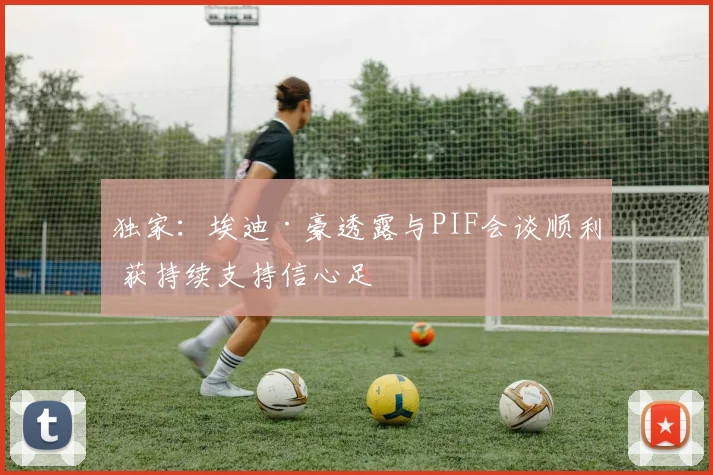 独家:埃迪·豪透露与PIF会谈顺利 获持续支持信心足